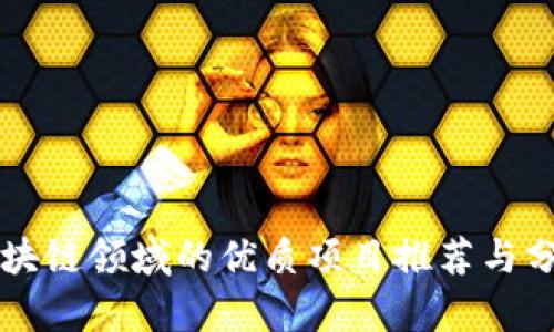 区块链领域的优质项目推荐与分析