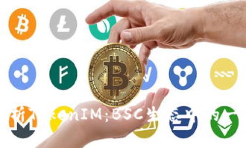 深入解析TokenIM：BSC生态中的一颗明珠