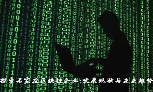 探索石家庄区块链企业:发展现状与未来趋势