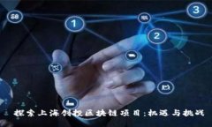  探索上海创投区块链项目