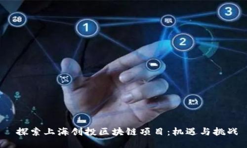 探索上海创投区块链项目:机遇与挑战