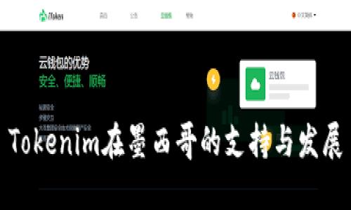 Tokenim在墨西哥的支持与发展