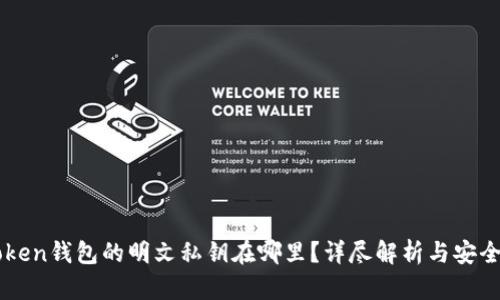 imToken钱包的明文私钥在哪里?详尽解析与安全提示