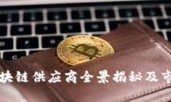 仙游区块链供应商全景揭