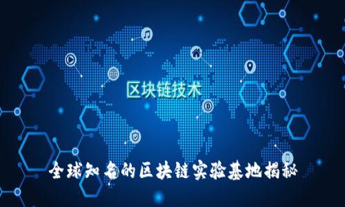 全球知名的区块链实验基地揭秘