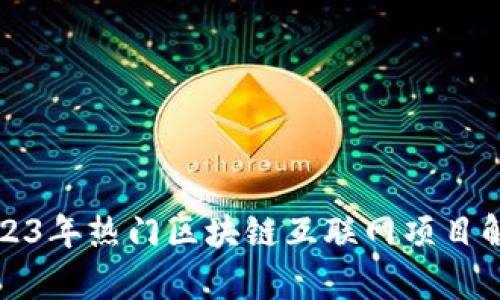 2023年热门区块链互联网项目解析