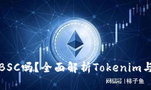 Tokenim支持BSC吗？全面解析Tokenim与BSC的兼容性