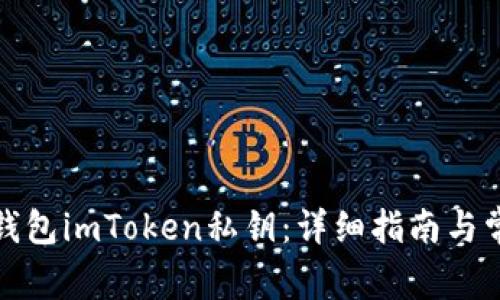 如何使用冷钱包imToken私钥:详细指南与常见问题解答