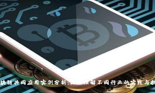 区块链共同应用实例分析:深入理解不同行业的实践与挑战
