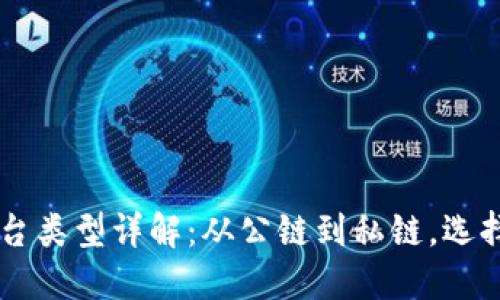 区块链操作平台类型详解:从公链到私链,选择适合你的平台
