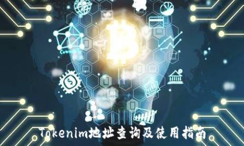 Tokenim地址查询及使用指南