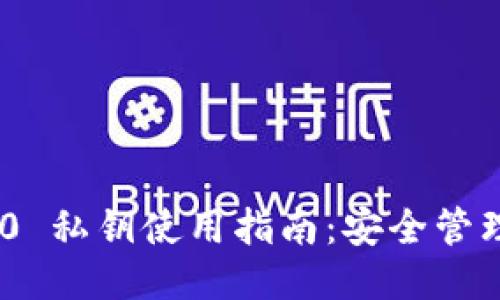 Tokenim 2.0 私钥使用指南:安全管理与应用技巧