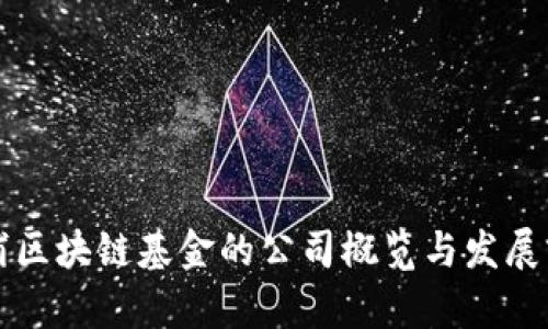 杨浦区块链基金的公司概览与发展前景