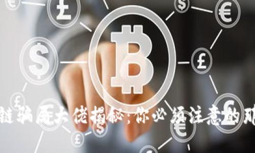 区块链骗局大佬揭秘:你必须注意的那些人