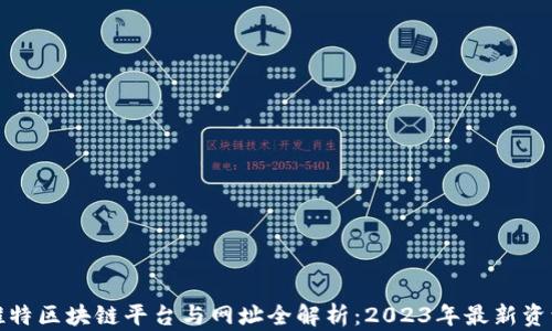 推特区块链平台与网址全解析:2023年最新资源
