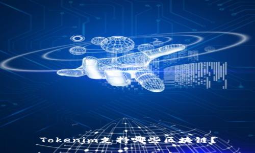 Tokenim支持哪些区块链?