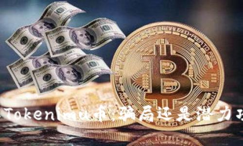 理解Tokenimu币:骗局还是潜力项目?