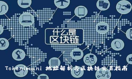 Tokenimuni 地址解析与区块链交易指南