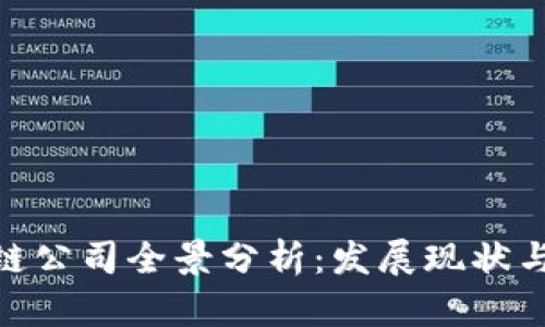 越南区块链公司全景分析:发展现状与未来趋势