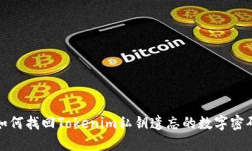 如何找回Tokenim私钥遗忘的数字密码