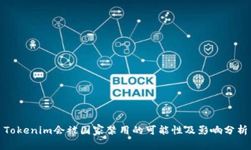 Tokenim会被国家禁用的可能性及影响分析
