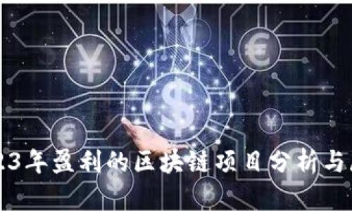 2023年盈利的区块链项目分析与展望