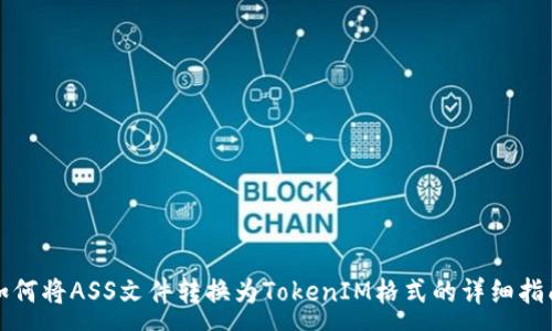 :
如何将ASS文件转换为TokenIM格式的详细指南
