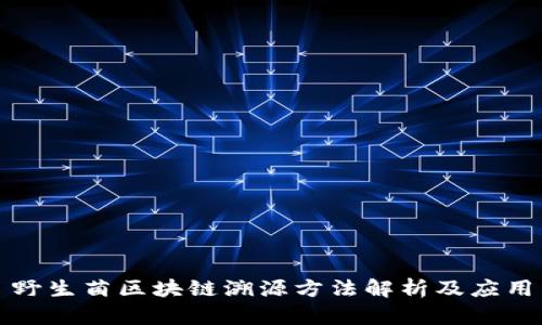 野生菌区块链溯源方法解析及应用