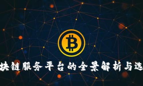 金融区块链服务平台的全景解析与选择指南