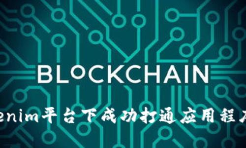 如何在Tokenim平台下成功打通应用程序：全面指南