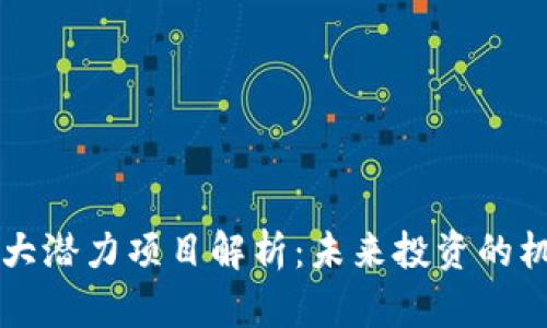 区块链十大潜力项目解析：未来投资的机遇与挑战