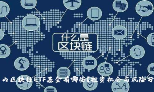 国内区块链ETF基金有哪些？投资机会与风险分析