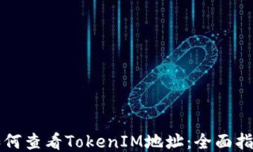 
如何查看TokenIM地址：全面指南
