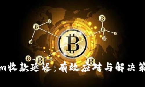 Tokenim收款延迟：有效应对与解决策略分析