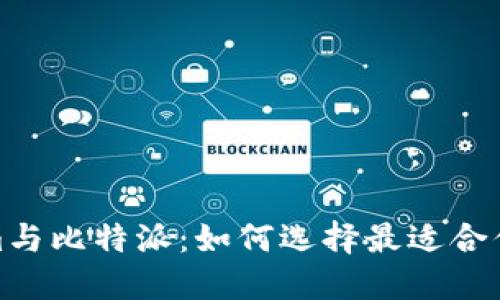 探讨Tokenim与比特派：如何选择最适合你的加密钱包