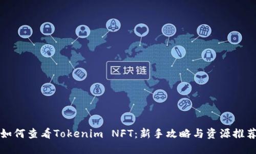 如何查看Tokenim NFT：新手攻略与资源推荐