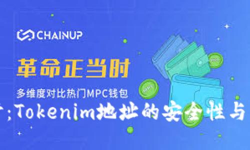 深入探讨：Tokenim地址的安全性与隐私保护