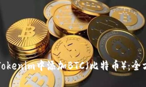 如何在Tokenim中添加BTC（比特币）：全方位指南