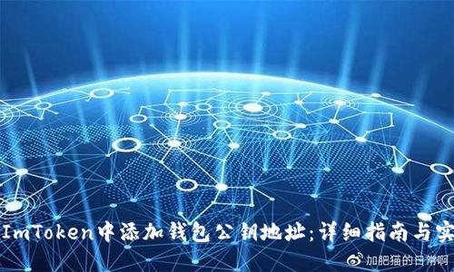 如何在ImToken中添加钱包公钥地址：详细指南与实用提示
