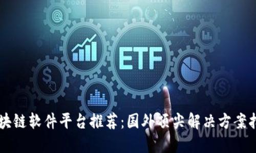 区块链软件平台推荐：国外顶尖解决方案指南