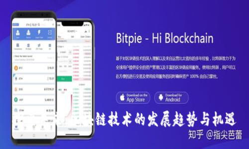 探索未来：区块链技术的发展趋势与机遇