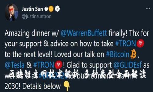 区块链主网技术解析：多种类型全面解读