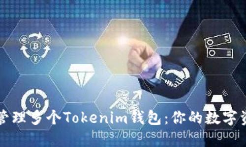 如何选择和管理多个Tokenim钱包：你的数字资产新手指南