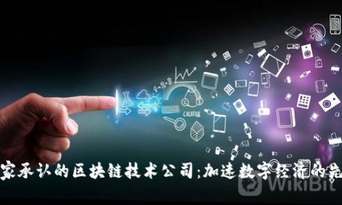 国家承认的区块链技术公司：加速数字经济的先锋