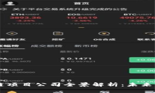 百色区块链项目公司全景解析：未来科技的新星