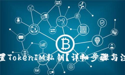 如何设置TokenIM私钥？详细步骤与注意事项