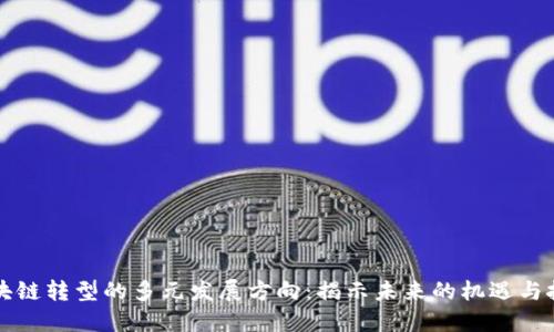 区块链转型的多元发展方向：揭示未来的机遇与挑战