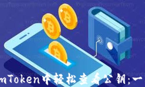 
如何在ImToken中轻松查看公钥：一站式指南