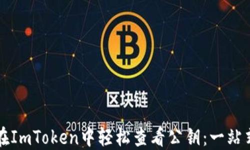
如何在ImToken中轻松查看公钥：一站式指南