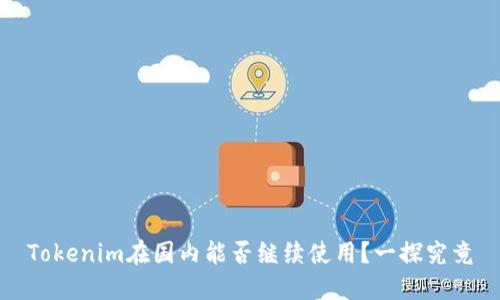 Tokenim在国内能否继续使用？一探究竟
